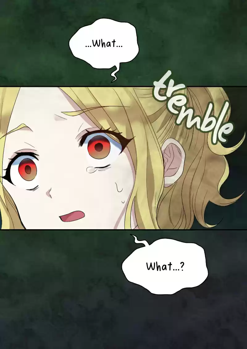 The Twin Siblings’ New Life ch.47