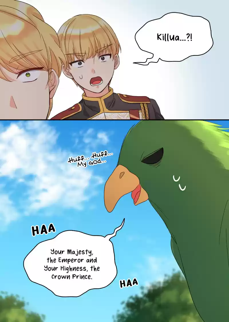 The Twin Siblings’ New Life ch.49