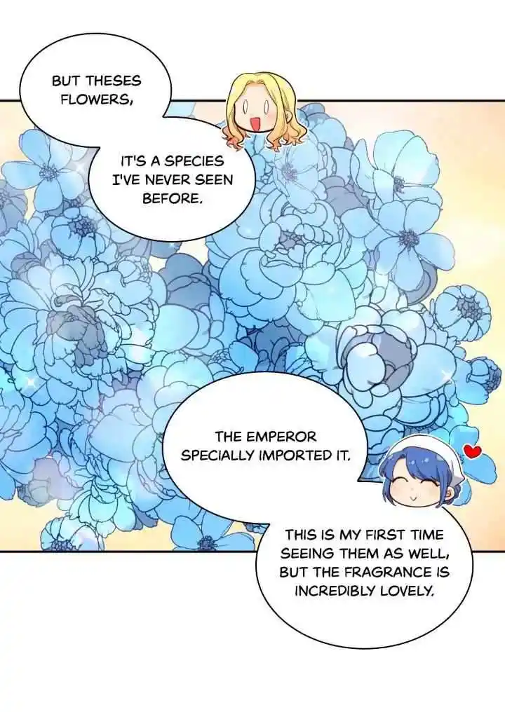 The Twin Siblings’ New Life Chapter 156