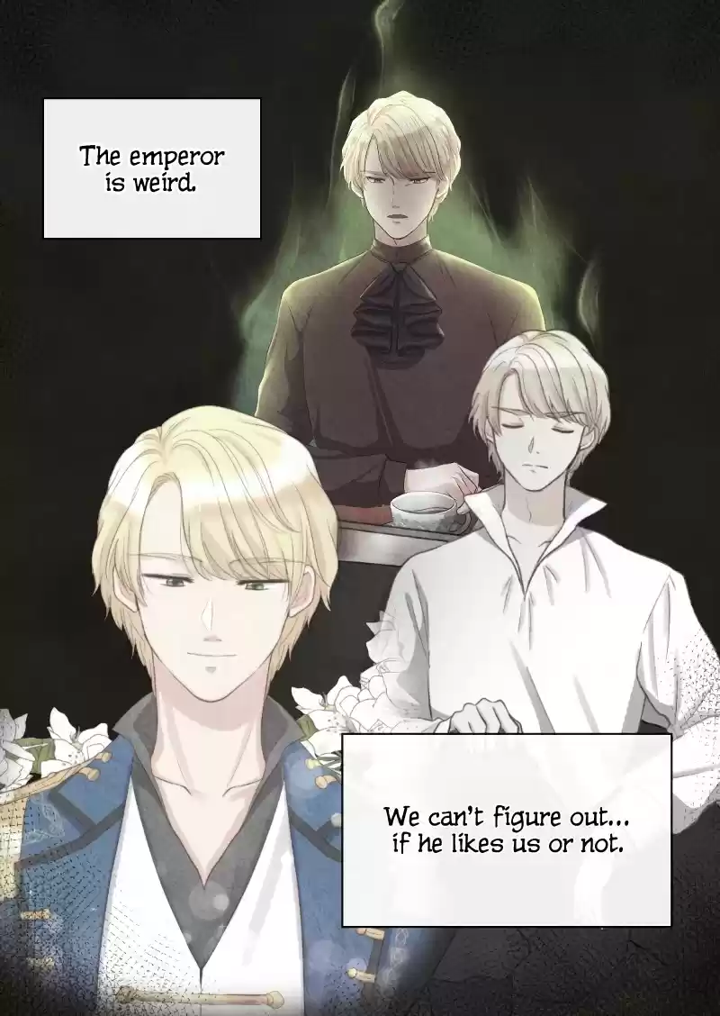 The Twin Siblings’ New Life Chapter 53