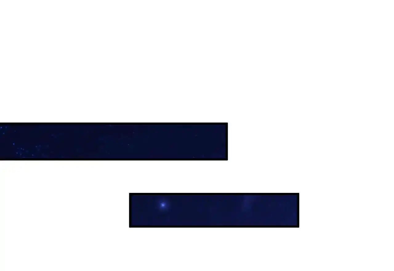 The Ultimate Devil King 100