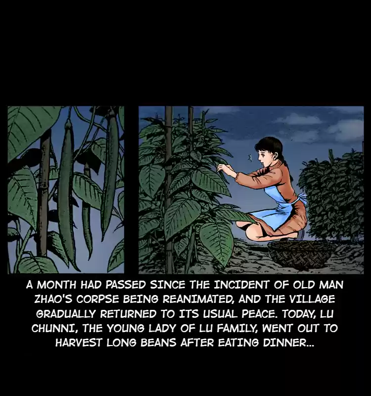 The Underworld Artisan 3.0 The Zhao Family's Cat