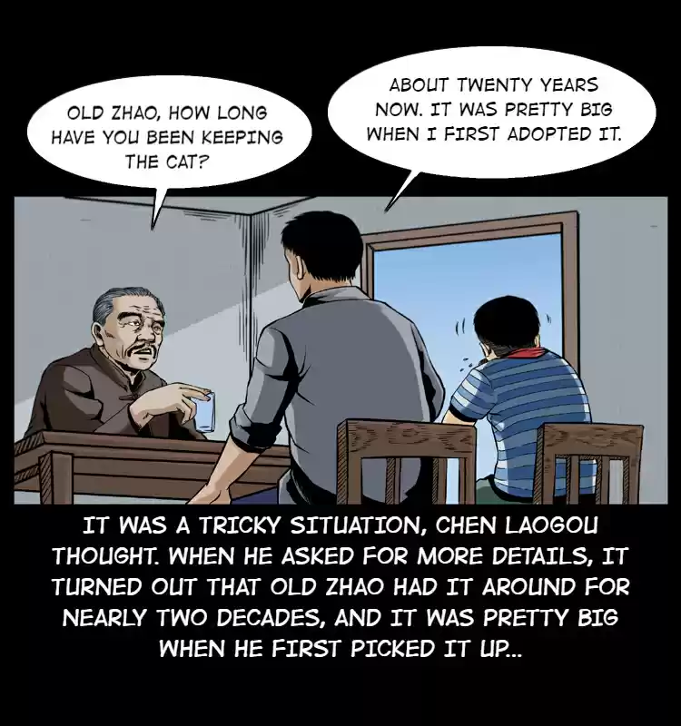 The Underworld Artisan 3.0 The Zhao Family's Cat