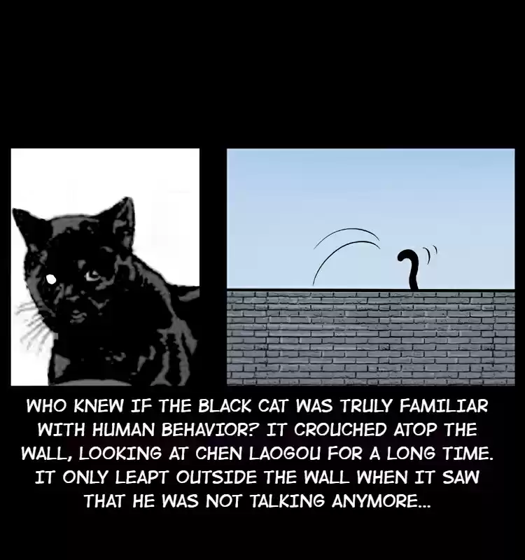 The Underworld Artisan 3.0 The Zhao Family's Cat