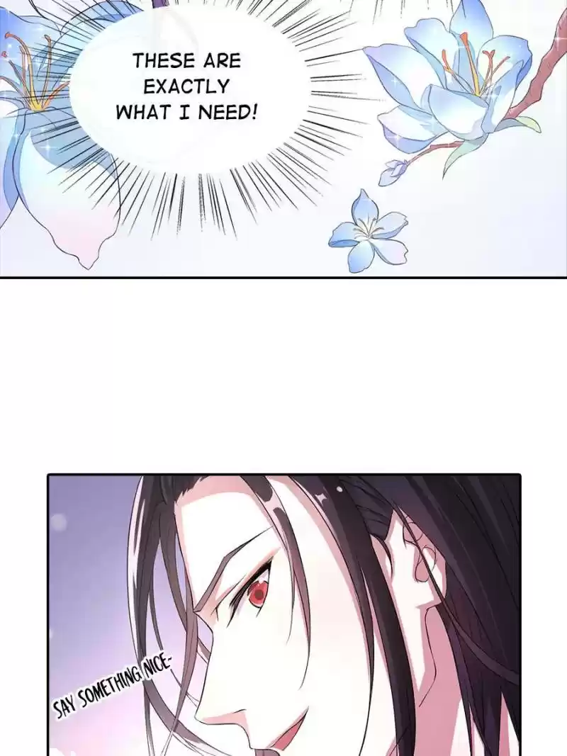 The Villainous Doctor Chapter 13