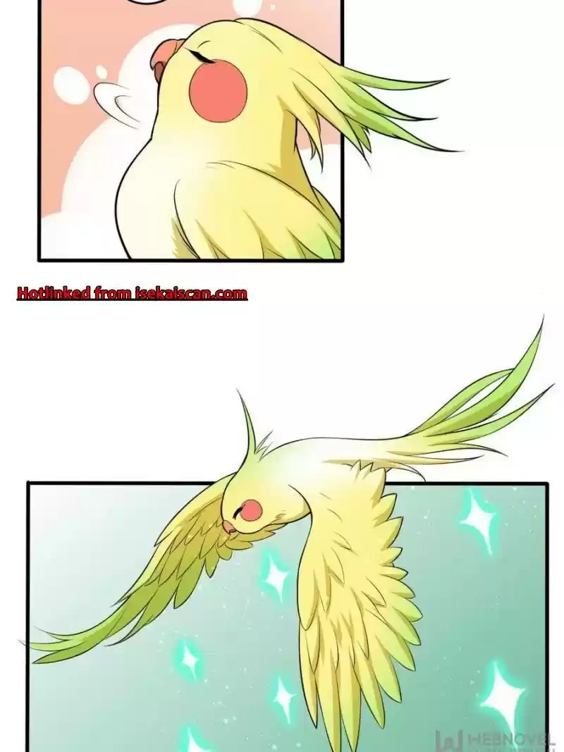 The Villainous Doctor Chapter 69