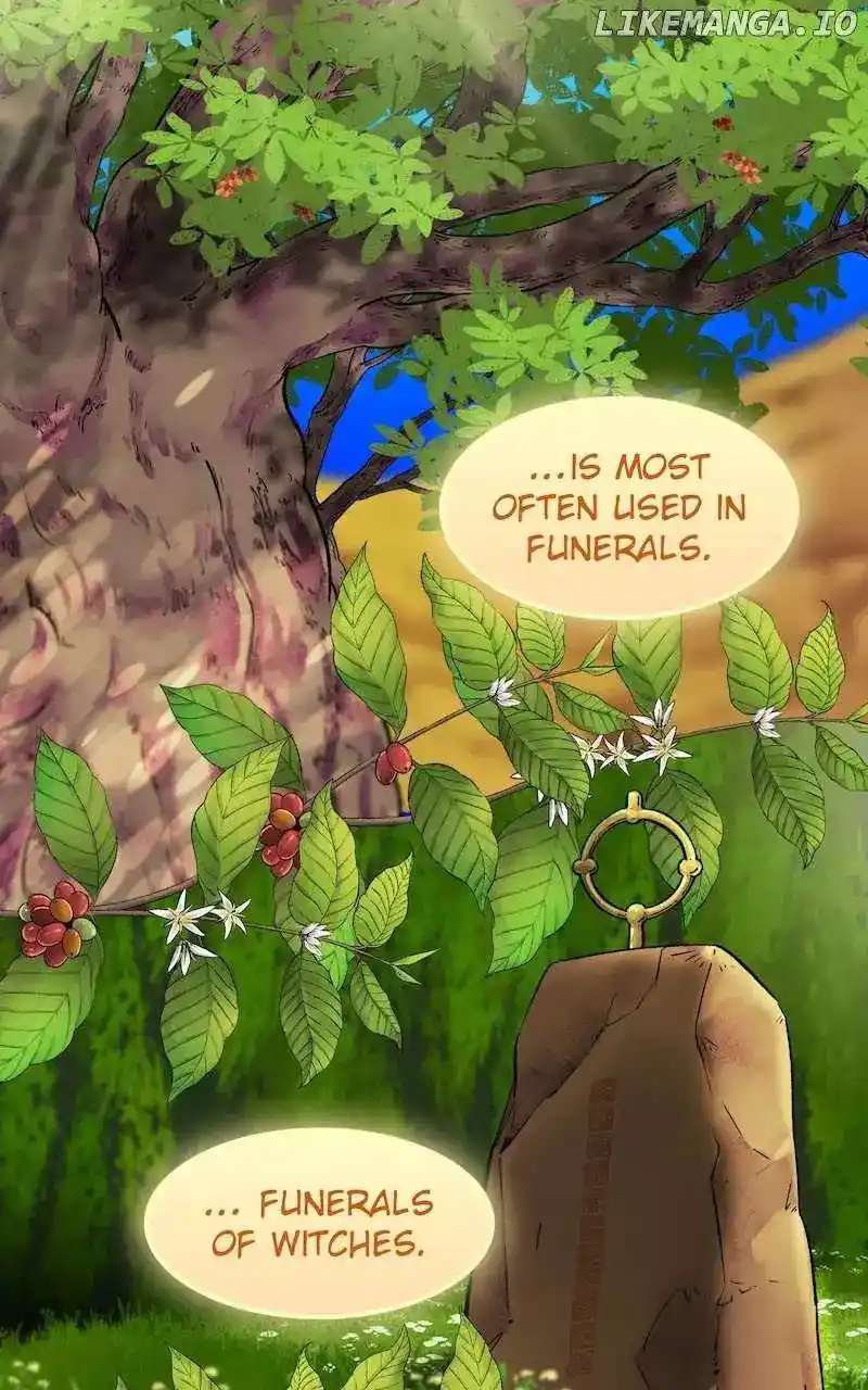 The Witch And The Bull Chapter 135