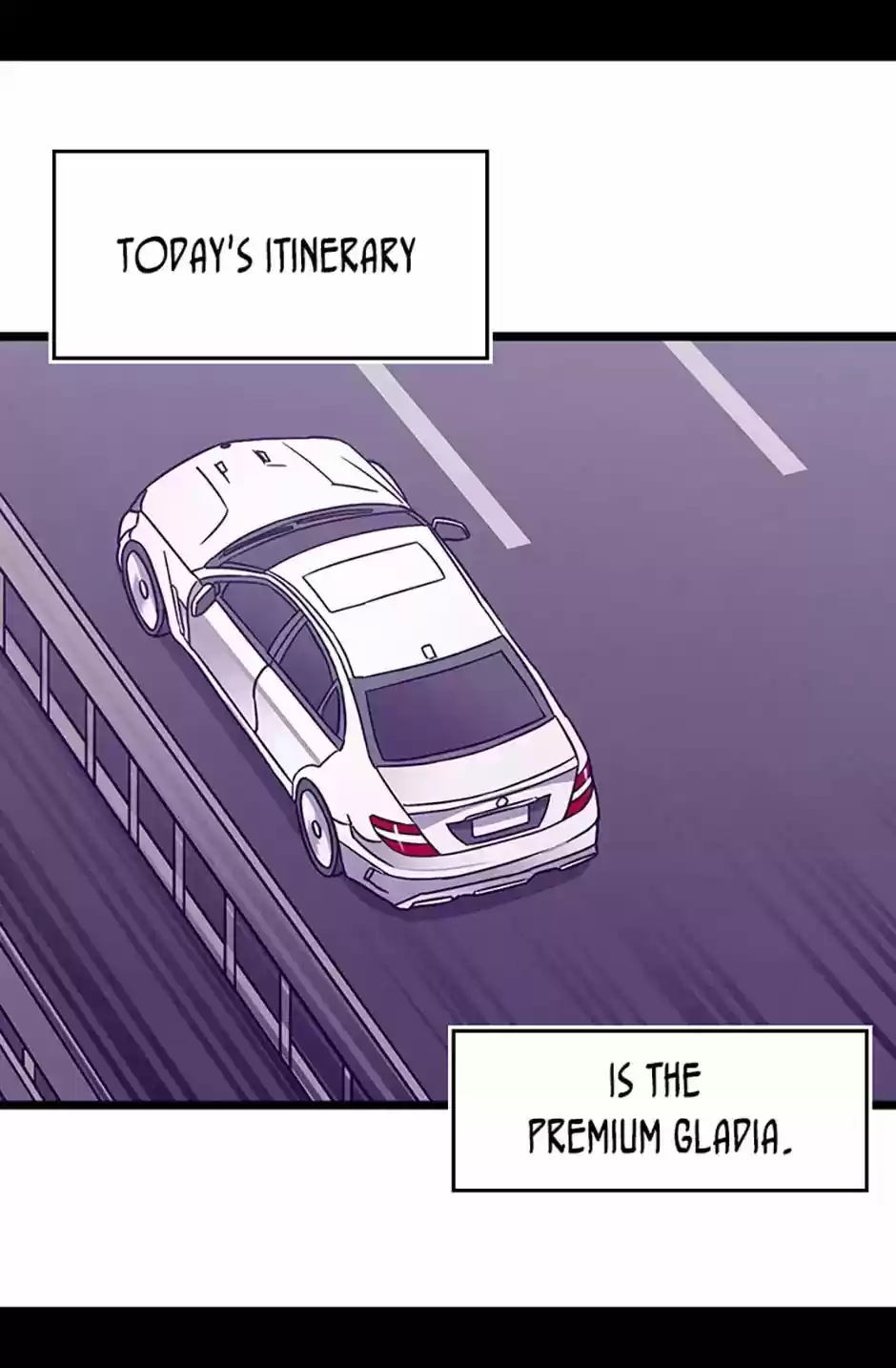 They Say I Was Born A King's Daughter Chapter 104: Starry Night