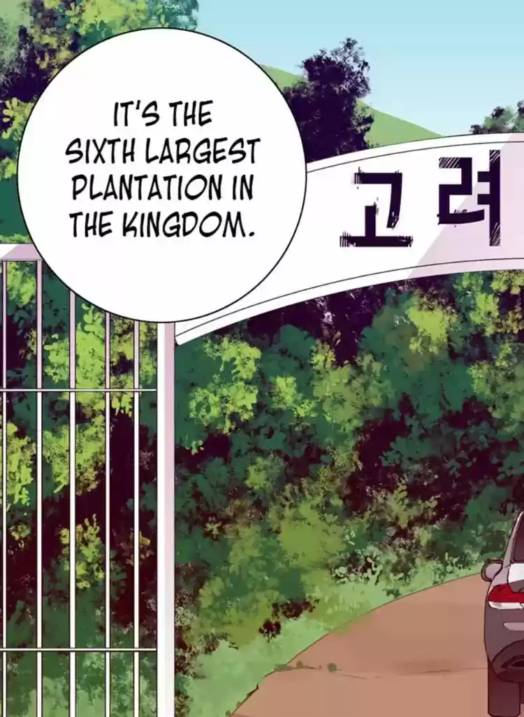 They Say I Was Born A King's Daughter Chapter 15: My First Excursion Outside