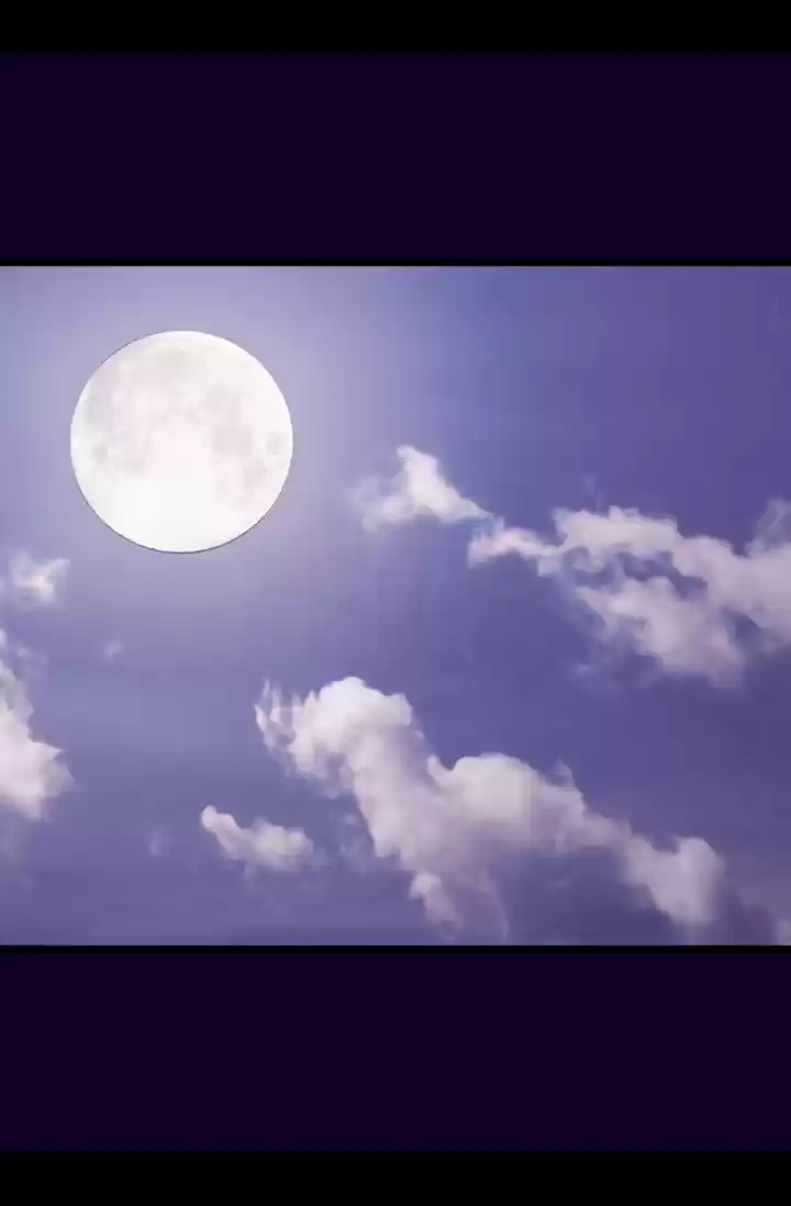 They Say I Was Born A King's Daughter Chapter 166