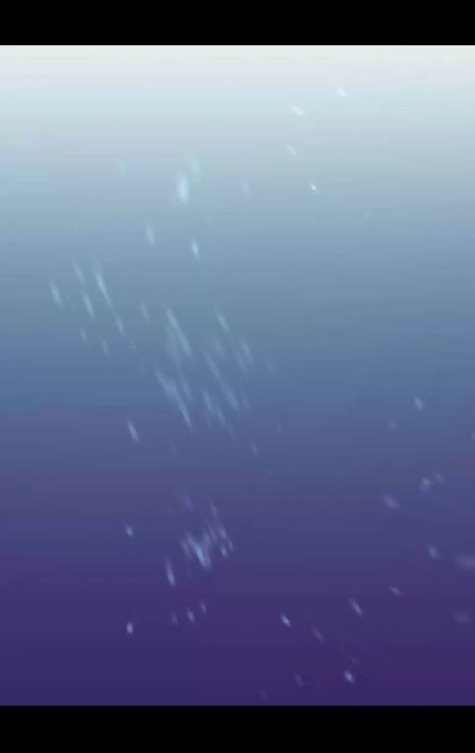 They Say I Was Born A King's Daughter Chapter 220