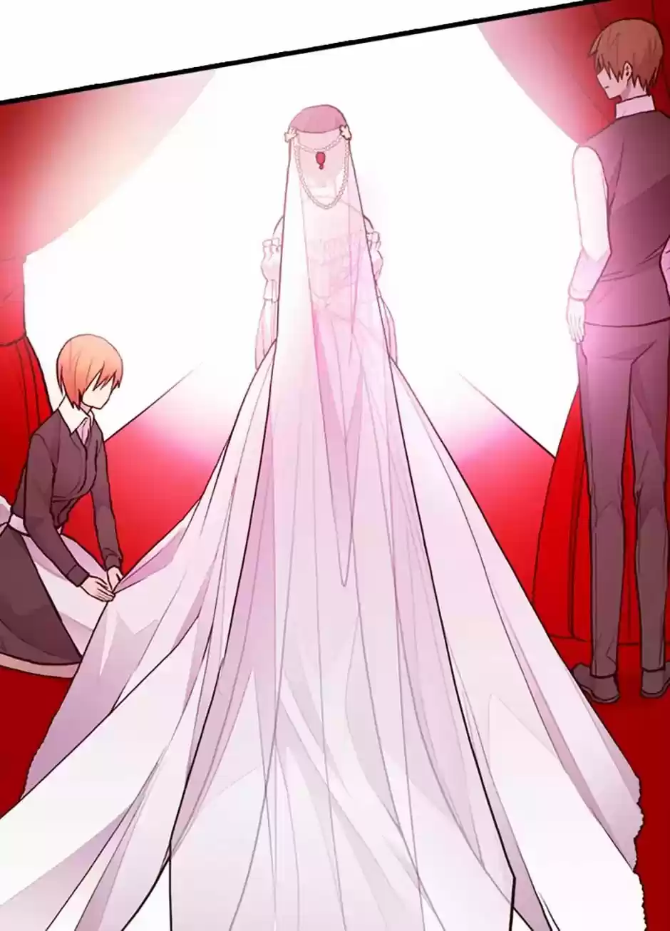 They Say I Was Born A King's Daughter Chapter 46: Hwanseok Kim's Wedding