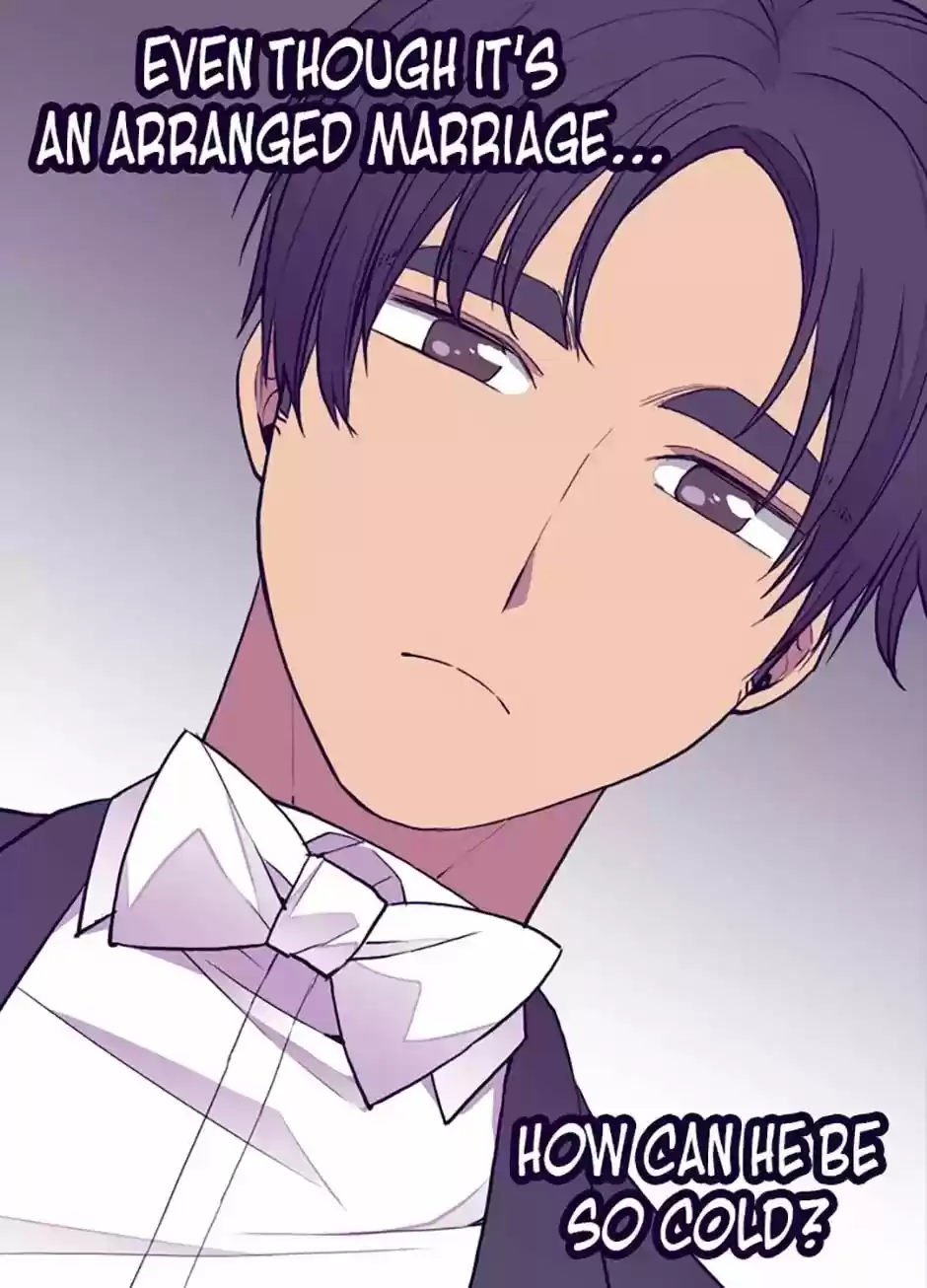 They Say I Was Born A King's Daughter Chapter 46: Hwanseok Kim's Wedding