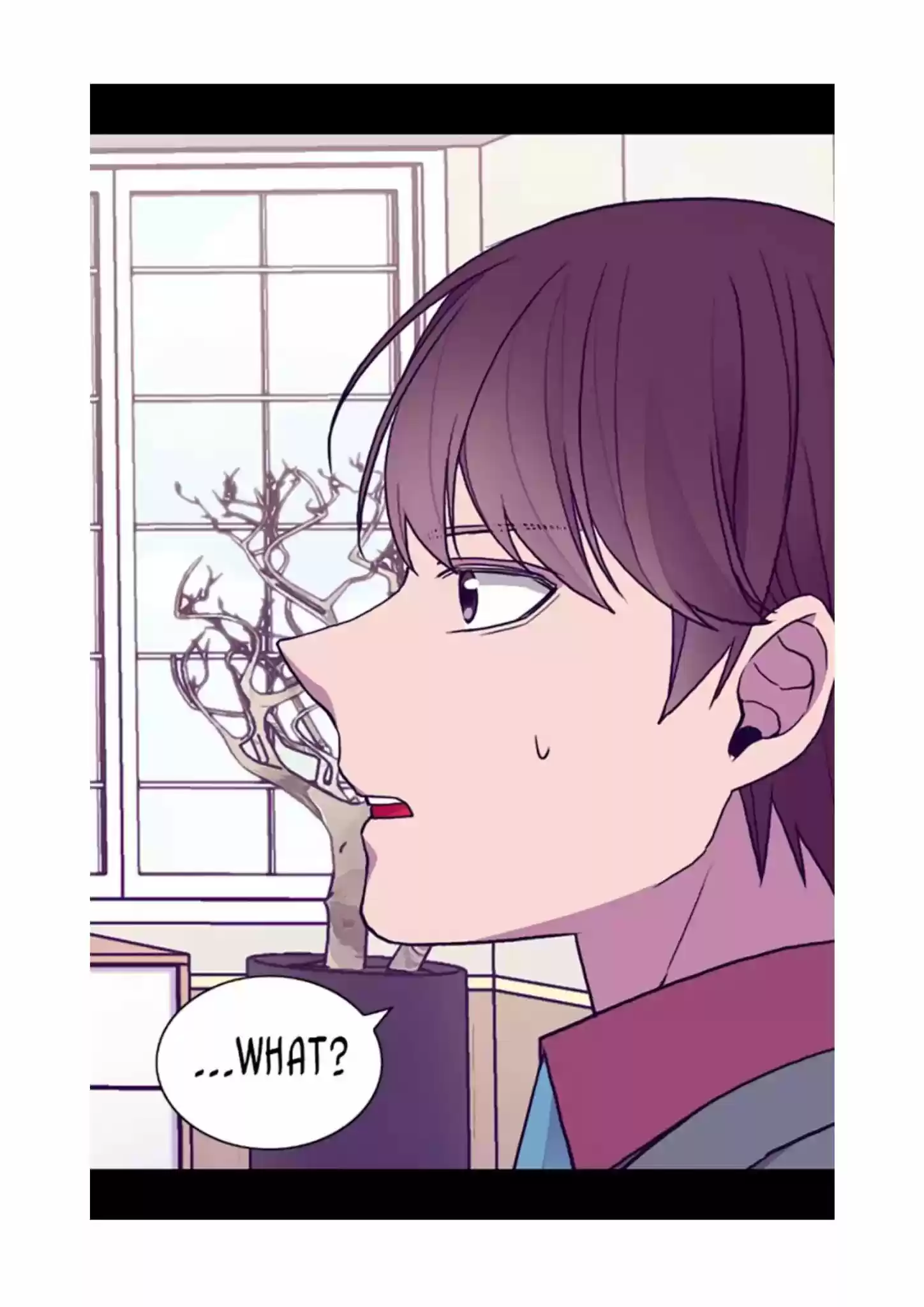 They Say I Was Born A King's Daughter Chapter 74: You... What?