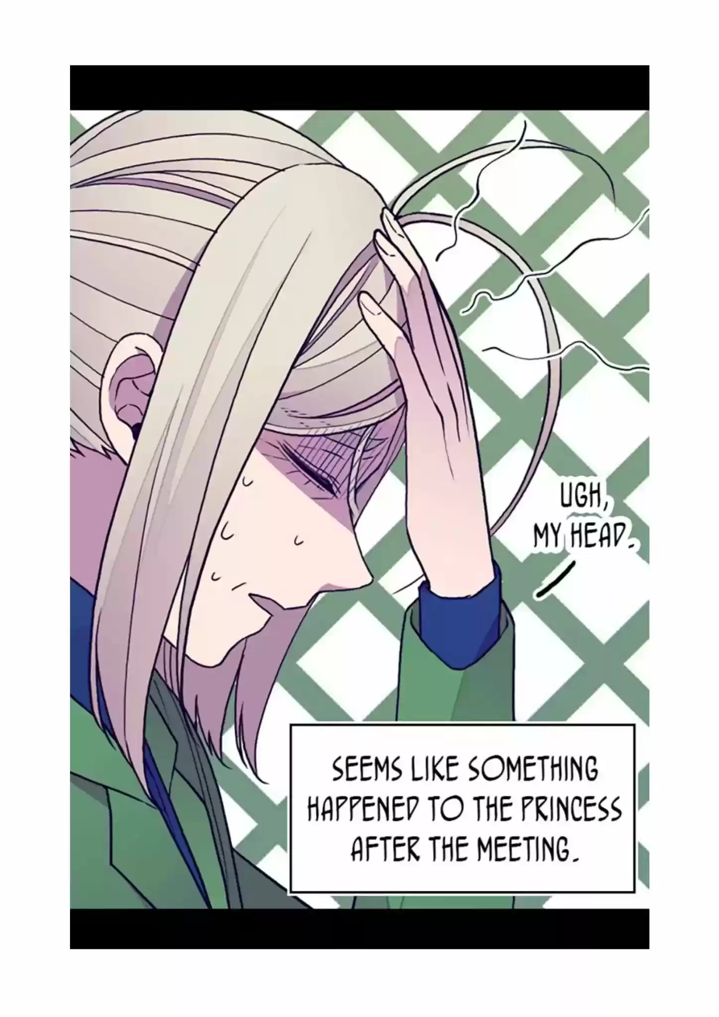 They Say I Was Born A King's Daughter Chapter 96: Sudden Invasion