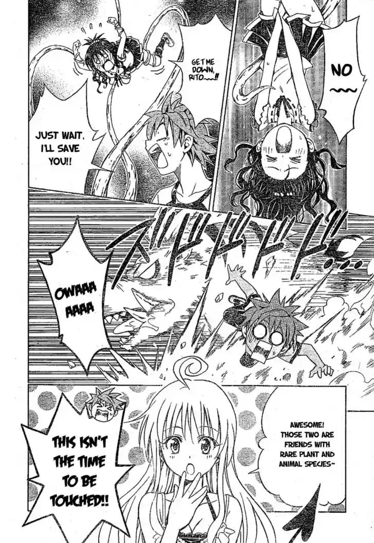 To-LOVE-Ru 108