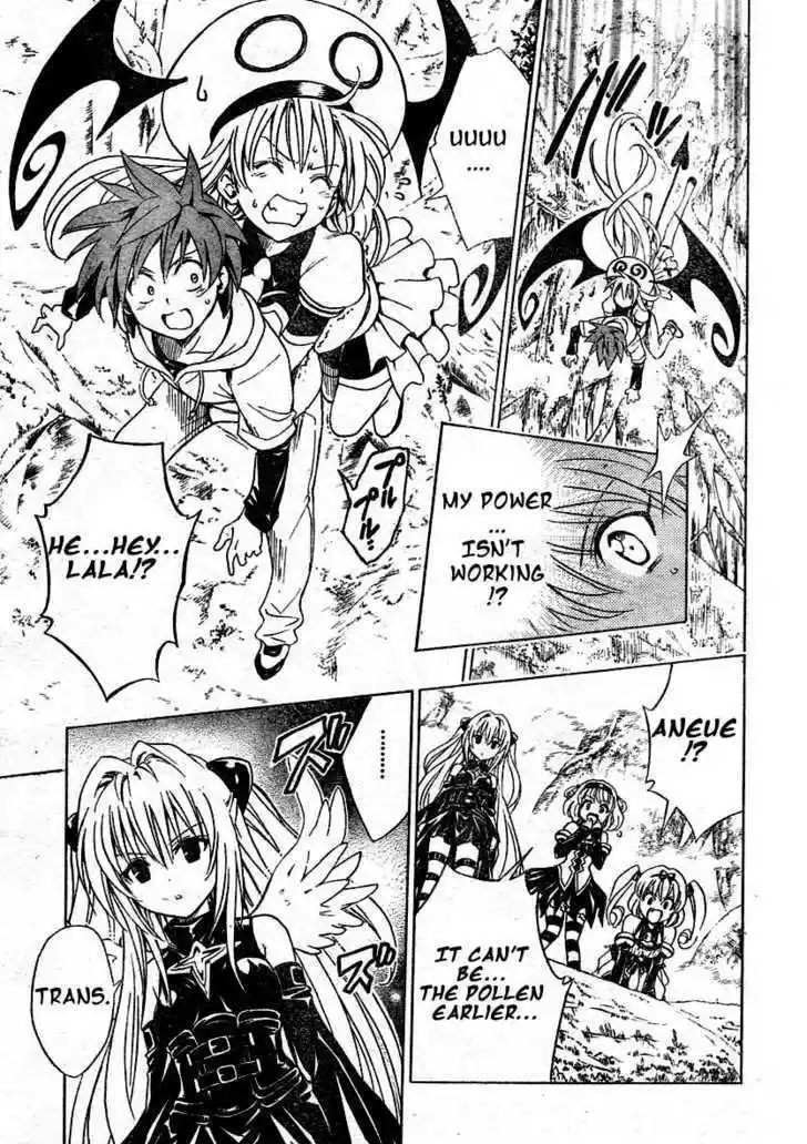 To-LOVE-Ru 125