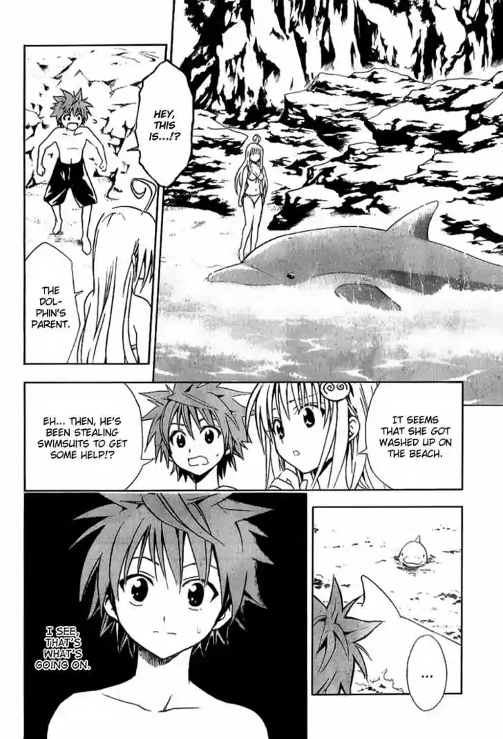 To-LOVE-Ru 17