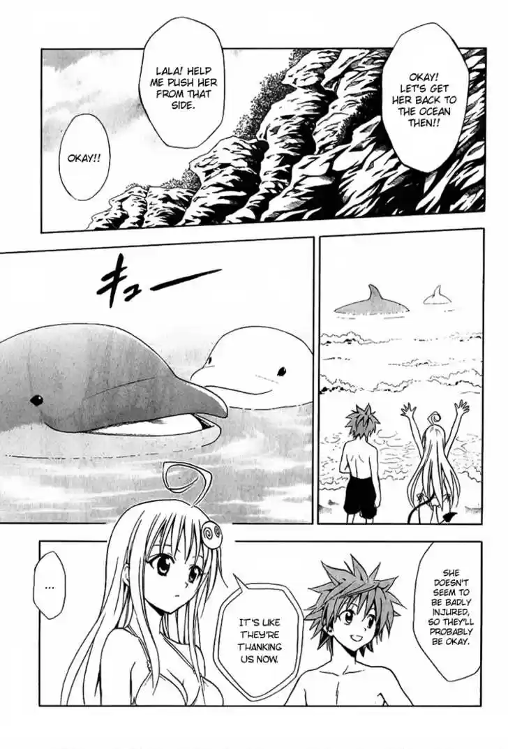 To-LOVE-Ru 17