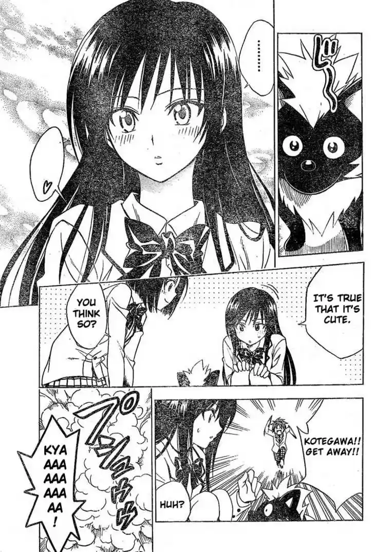 To-LOVE-Ru 85