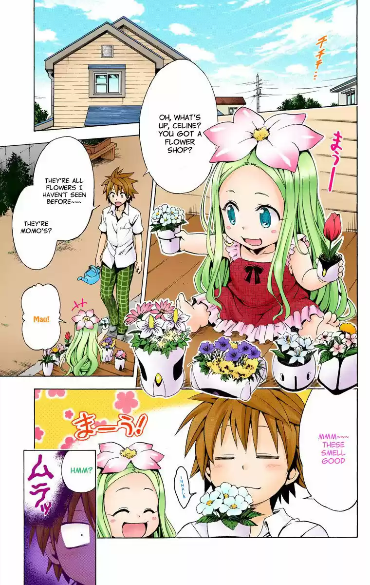 To Love Ru Darkness 13.4