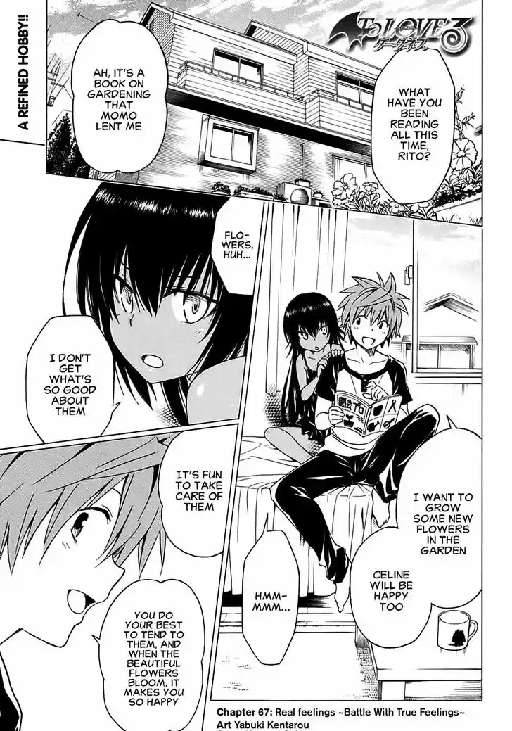 To Love-Ru Darkness 67