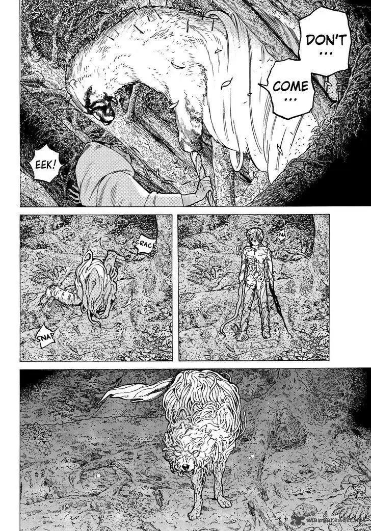 To You, The Immortal 13