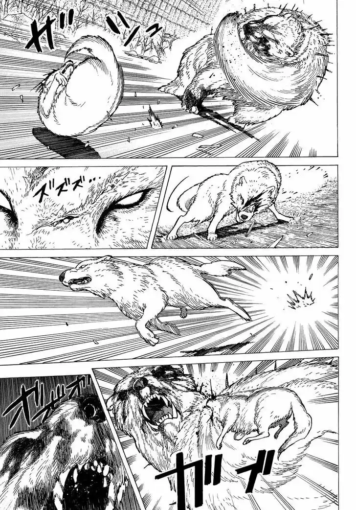 To You, The Immortal 4