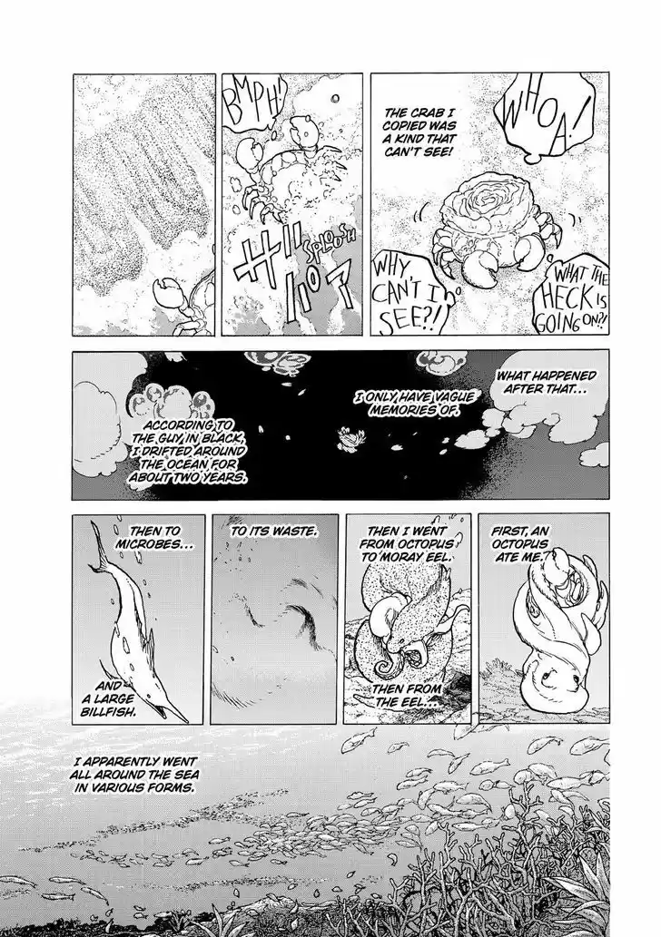 To You, The Immortal 55