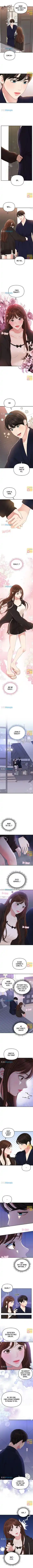 To You, Who Kept the Star Ch.100