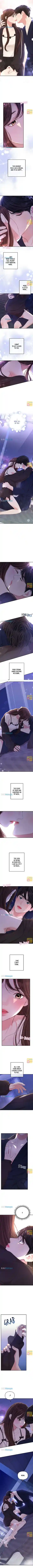 To You, Who Kept the Star Ch.100