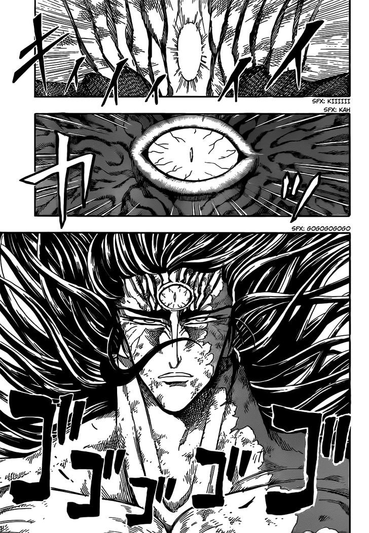 Toriko 245