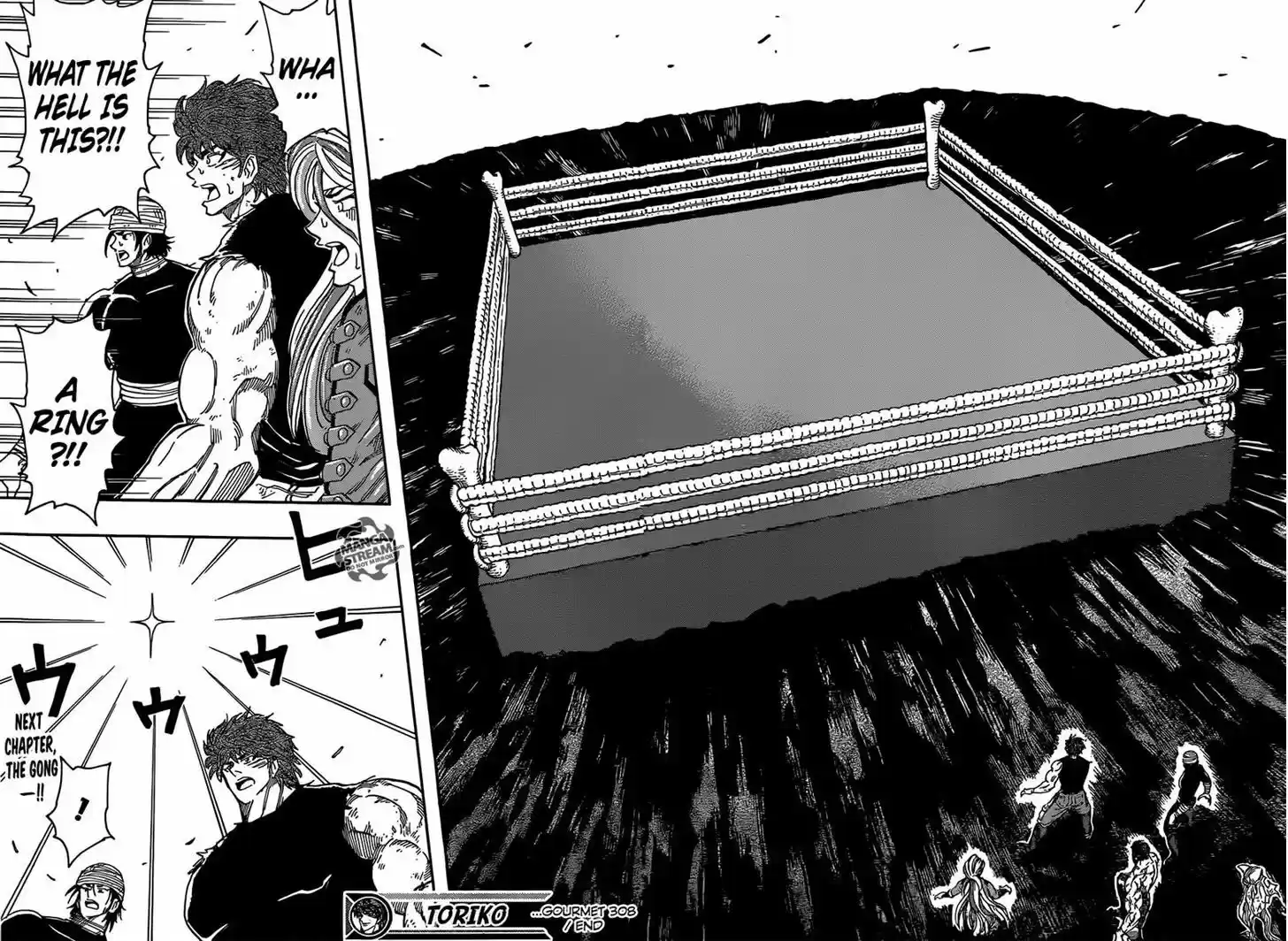 Toriko 308