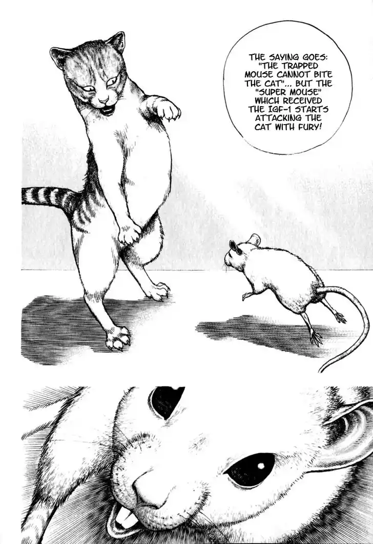 Tough Gaiden - Ryuu o Tsugu Otoko Vol.15 Ch.153