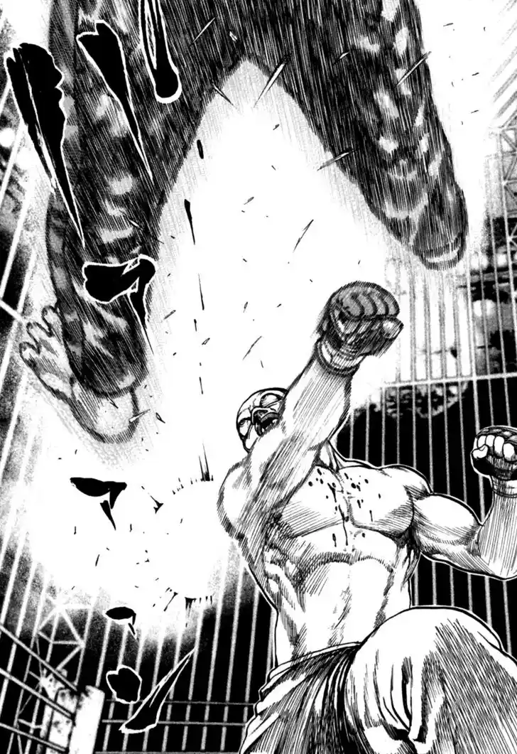 Tough Gaiden - Ryuu o Tsugu Otoko Vol.17 Ch.176