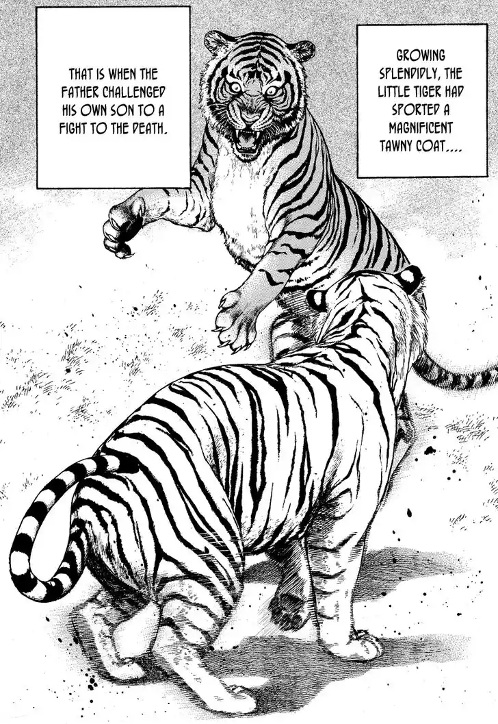 Tough Gaiden - Ryuu o Tsugu Otoko Vol.21 Ch.217