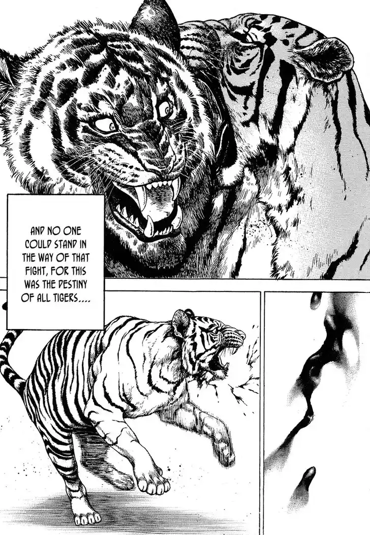 Tough Gaiden - Ryuu o Tsugu Otoko Vol.21 Ch.217