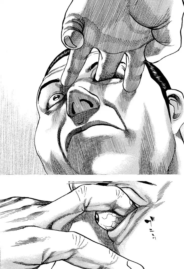 Tough Gaiden - Ryuu o Tsugu Otoko Vol.21 Ch.221