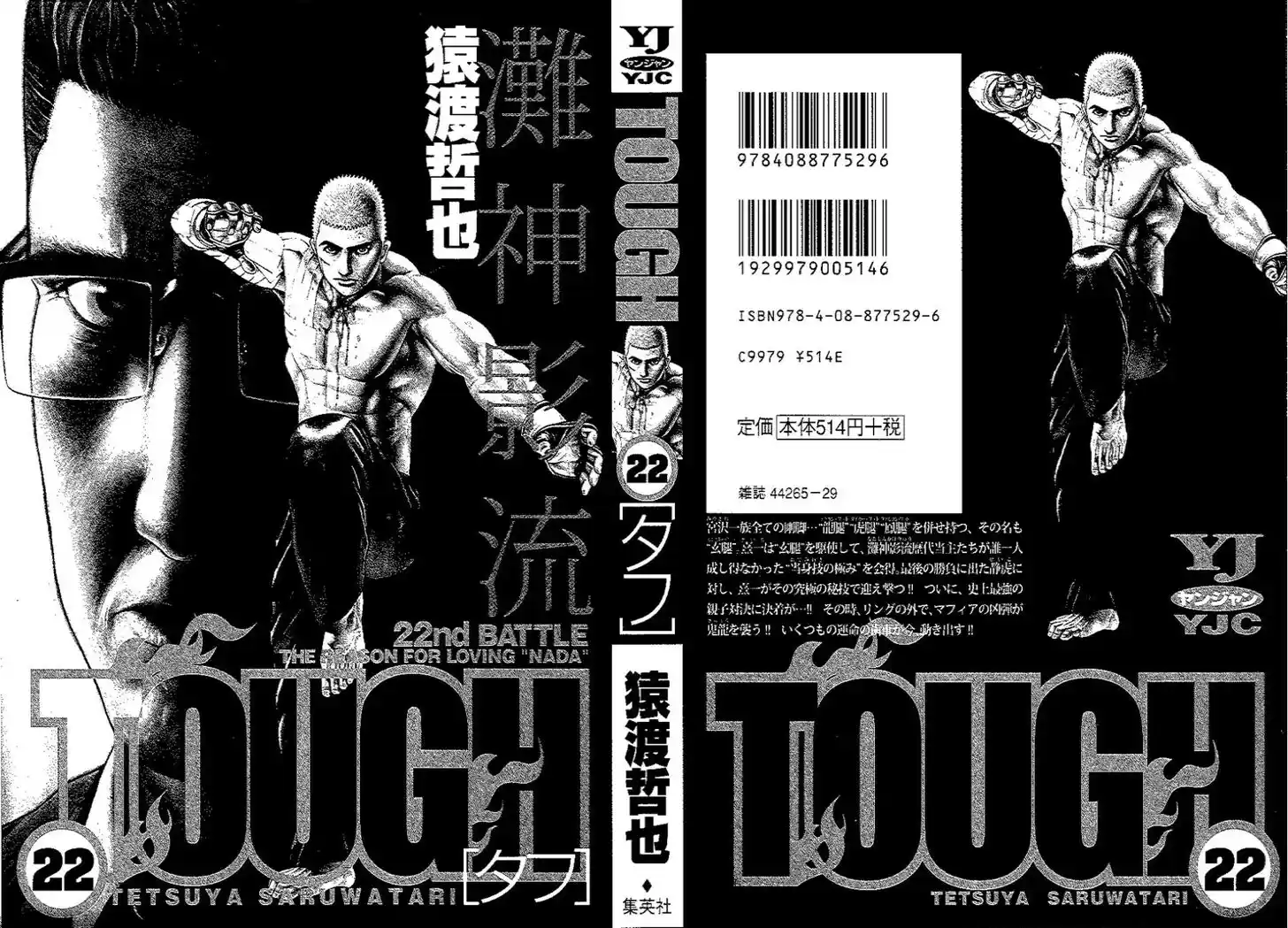 Tough Gaiden - Ryuu o Tsugu Otoko Vol.22 Ch.228