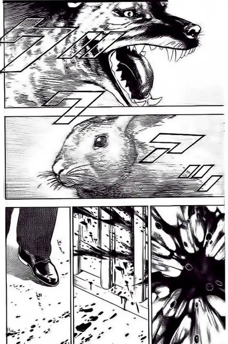 Tough Gaiden - Ryuu o Tsugu Otoko Vol.22 Ch.234