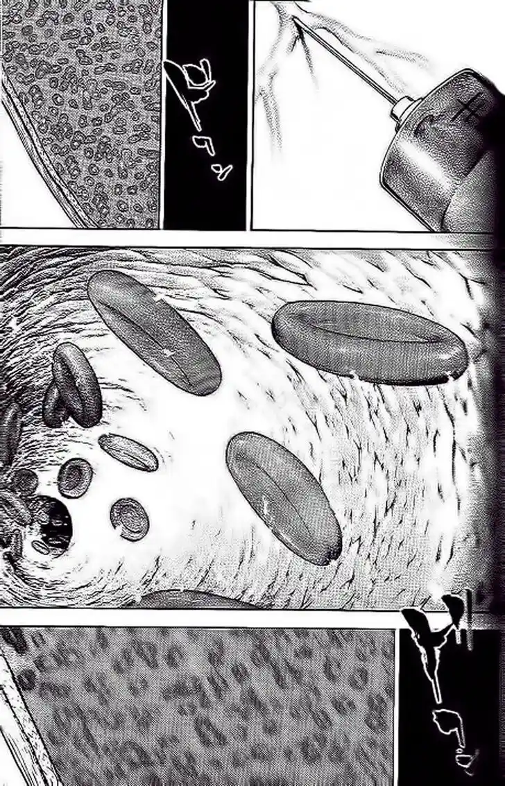 Tough Gaiden - Ryuu o Tsugu Otoko Vol.22 Ch.238