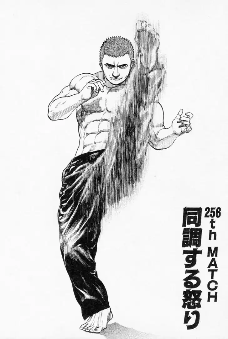 Tough Gaiden - Ryuu o Tsugu Otoko Vol.24 Ch.256