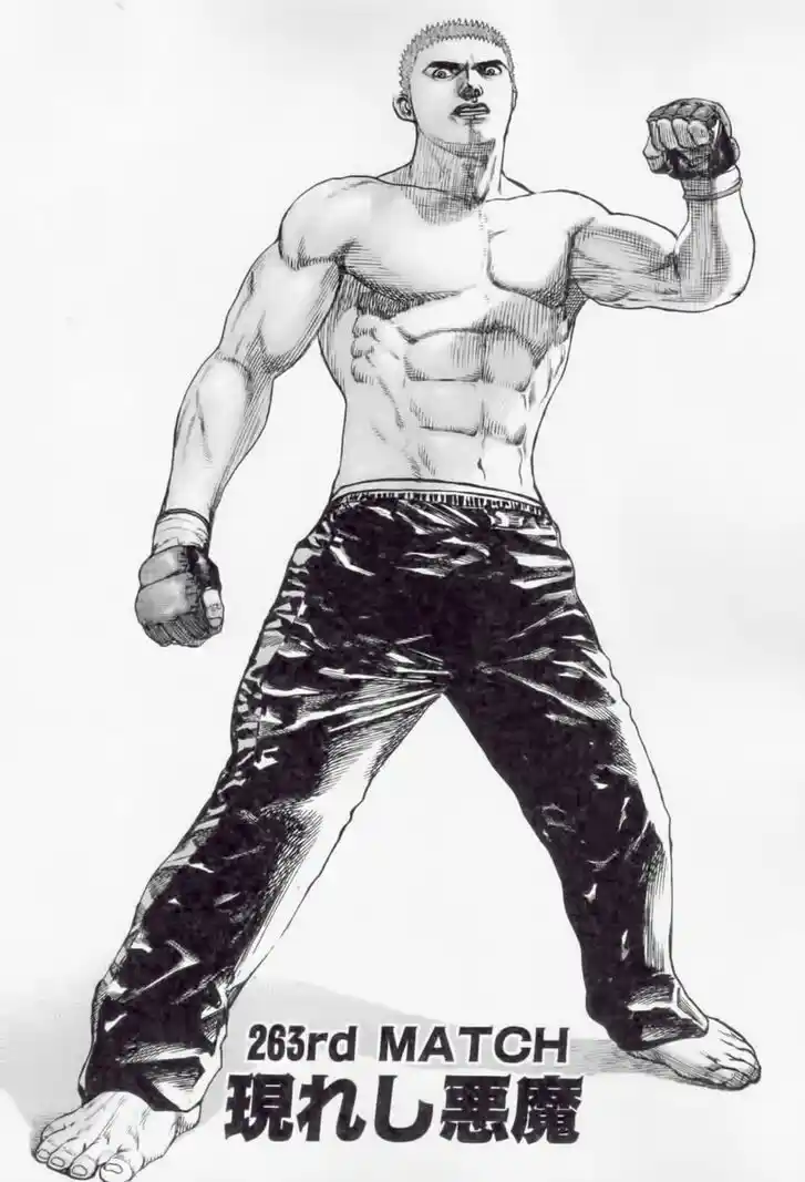 Tough Gaiden - Ryuu o Tsugu Otoko Vol.25 Ch.263