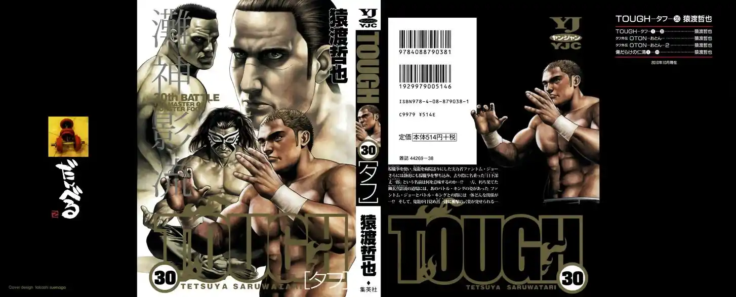 Tough Gaiden - Ryuu o Tsugu Otoko Vol.30 Ch.316