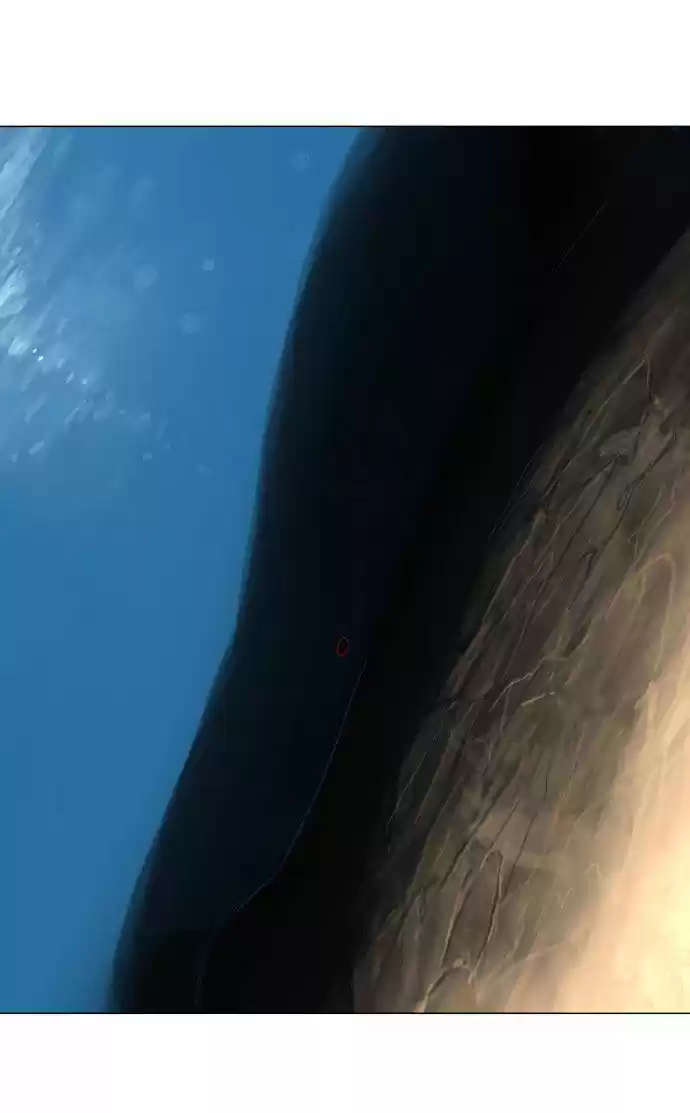 Tower of Based God ch.29