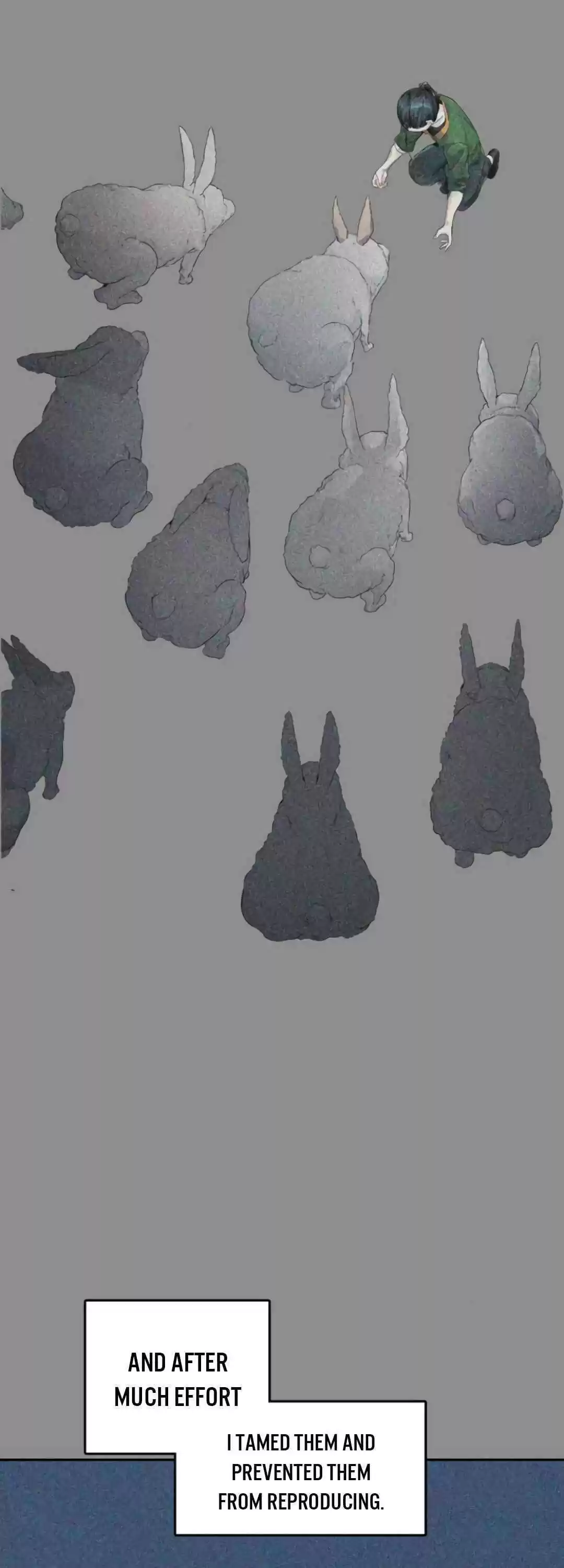 Tower Of God Chapter 494