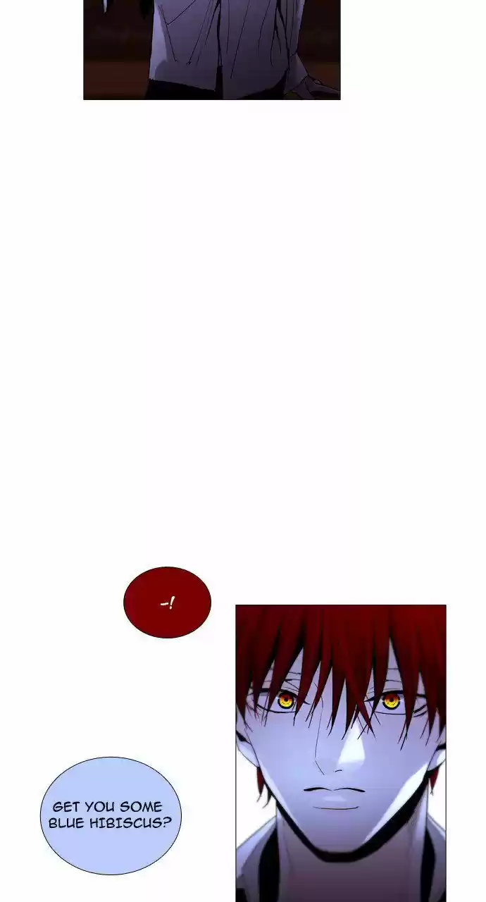 Trump (LEE Chae-Eun) 200