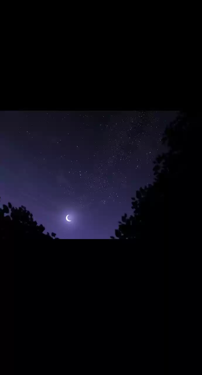 Trump (LEE Chae-Eun) ch.285