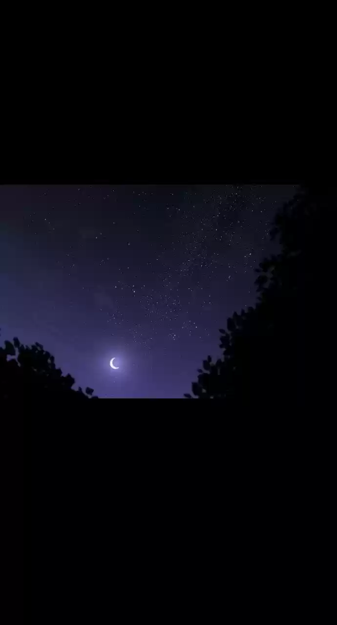 Trump (Ver1) Chapter 285