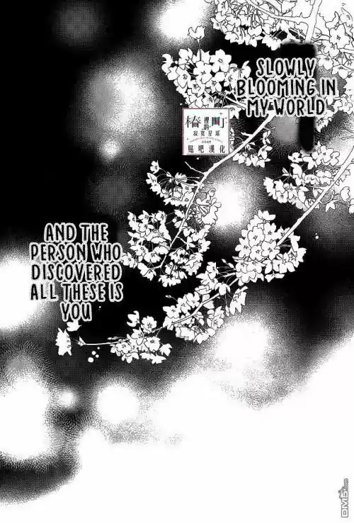 Tsubaki-chou Lonely Planet 57